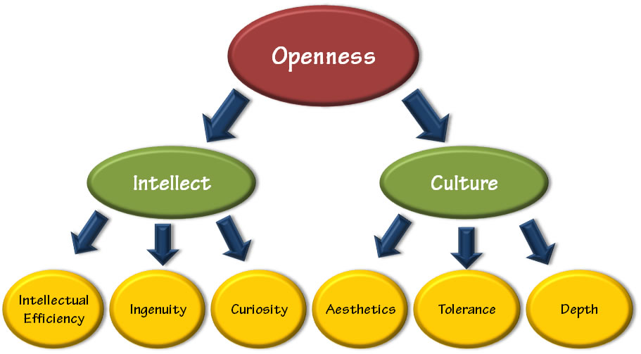Openness