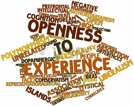 openness2