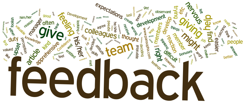 word-cloud-giving-feedback
