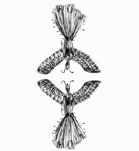 small final brush bennu bird